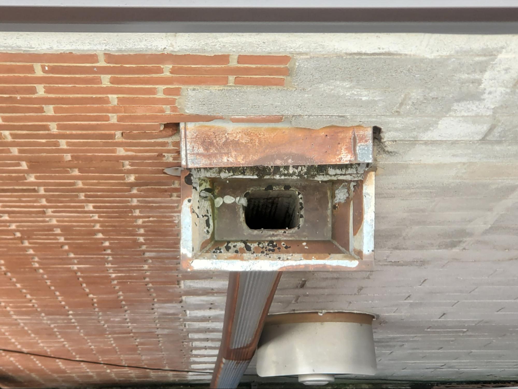 Drain Cleaning Repair